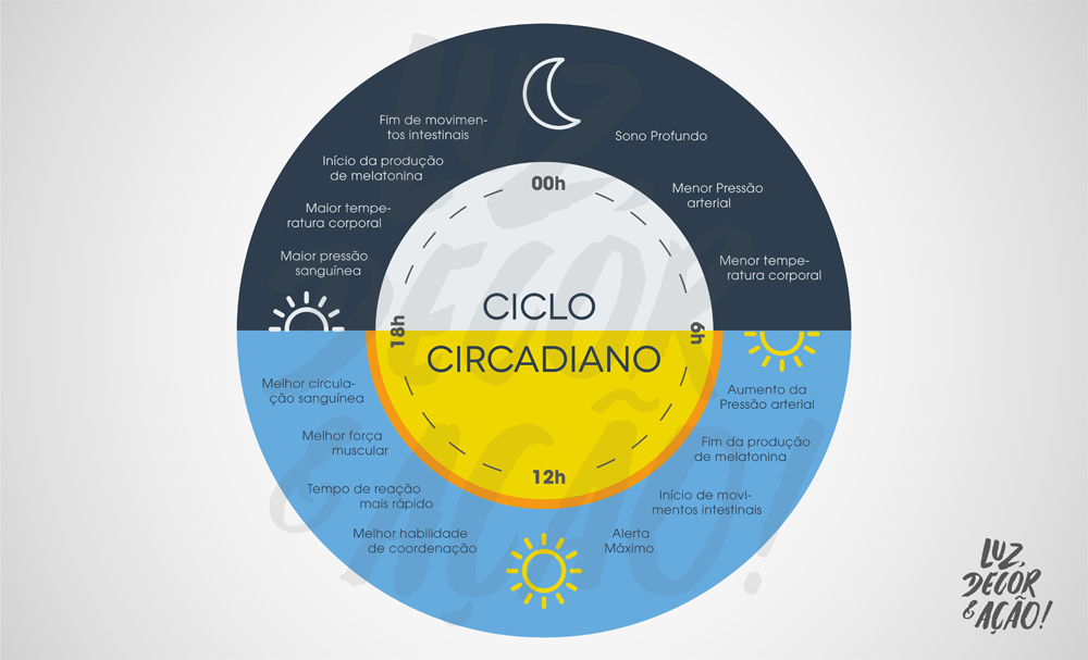 Light Designer e o Ciclo Circadiano