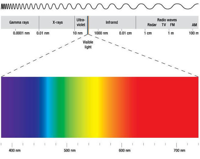 Espectro de Luz nas plantas