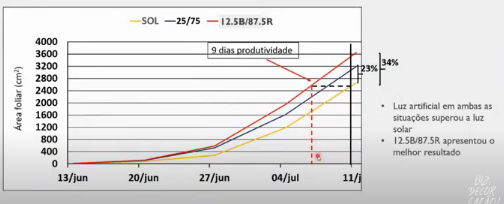 Experimento Iluminação Artificial em Plantas