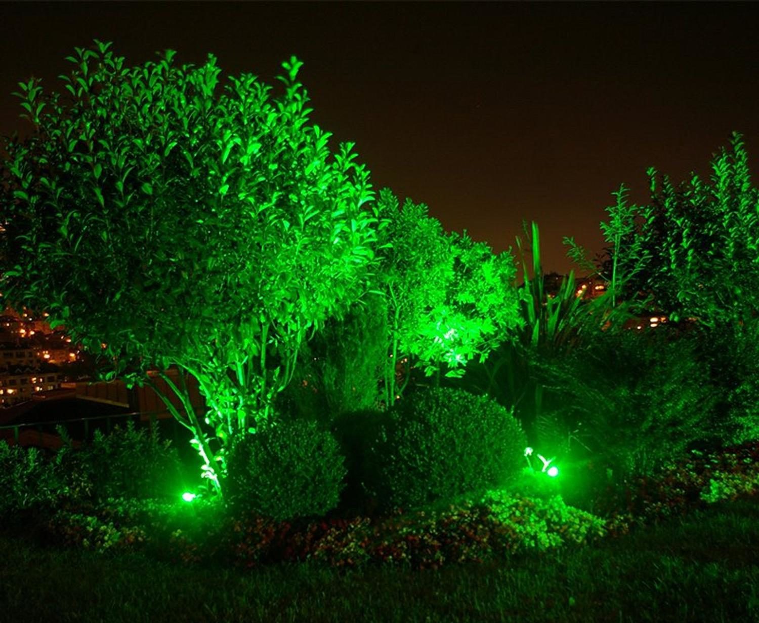 Luz verde no paisagismo