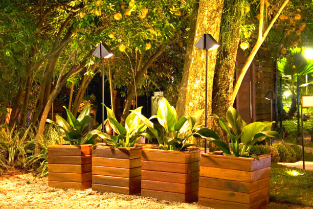 A influencia da luz nas plantas