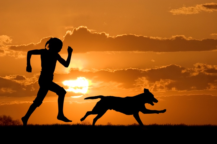 Animal sob a luz natural - Fonte Pinterest