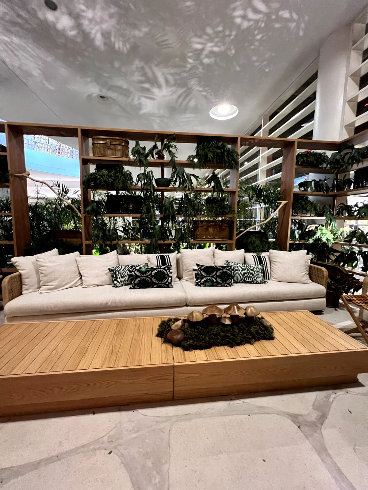 Iluminação em plantas